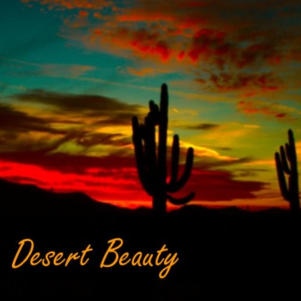 Desert Beauty Mystery Bundle Box